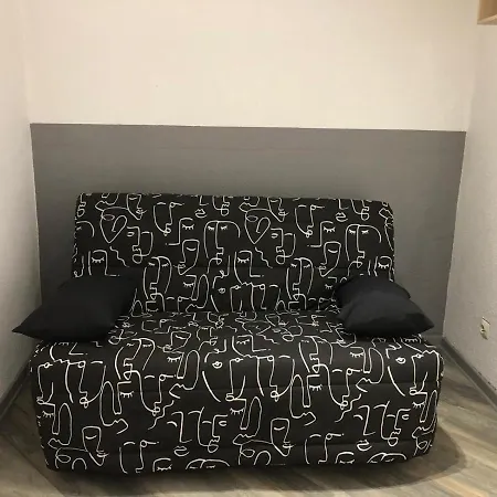 Superbe Avec Parking Gratuit En Centre Et Aux Pieds Des Pistes